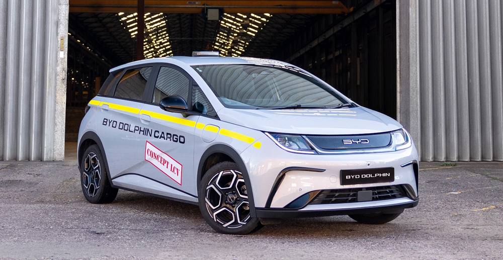 BYD Dolphin Cargo