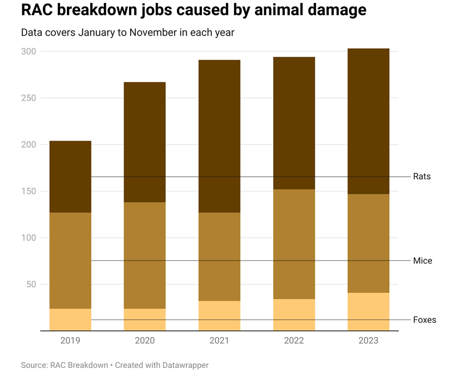 rac breakdown jobs caused by animal damage