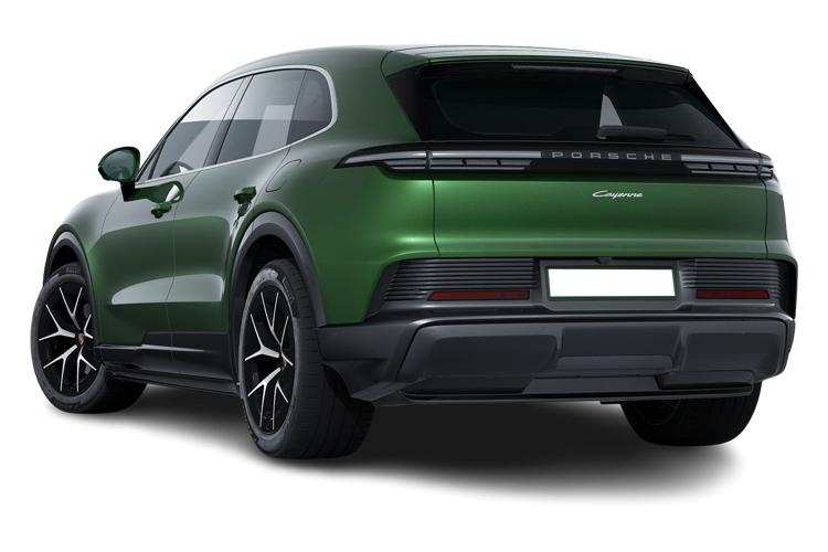Cayenne Electric Back_view Image