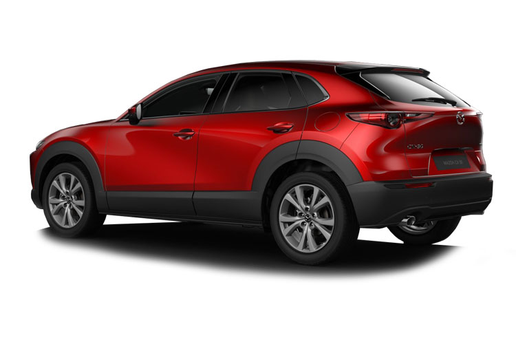 CX-30 Back_view Image