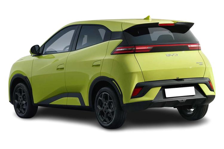 Dolphin Surf Back_view Image