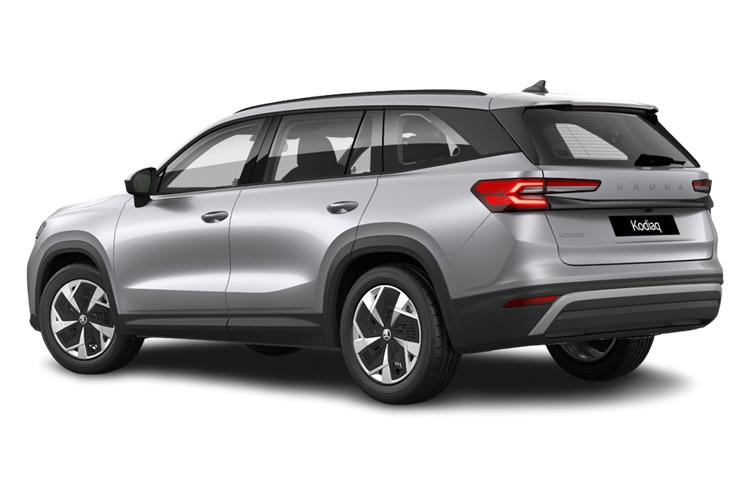 Kodiaq Back_view Image