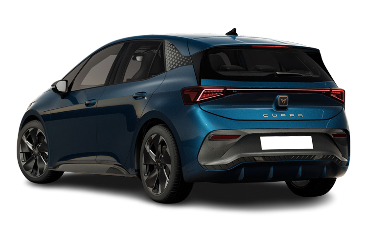 Born Back_view Image