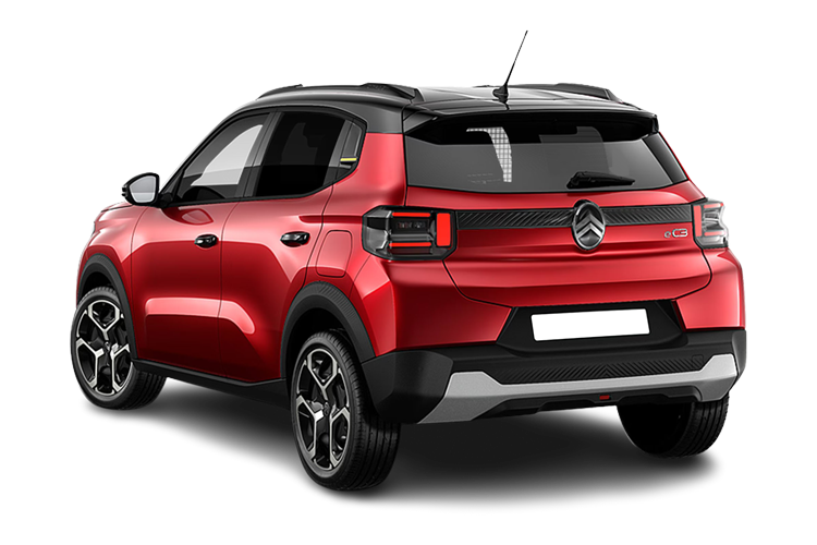 C3 Van Back_view Image