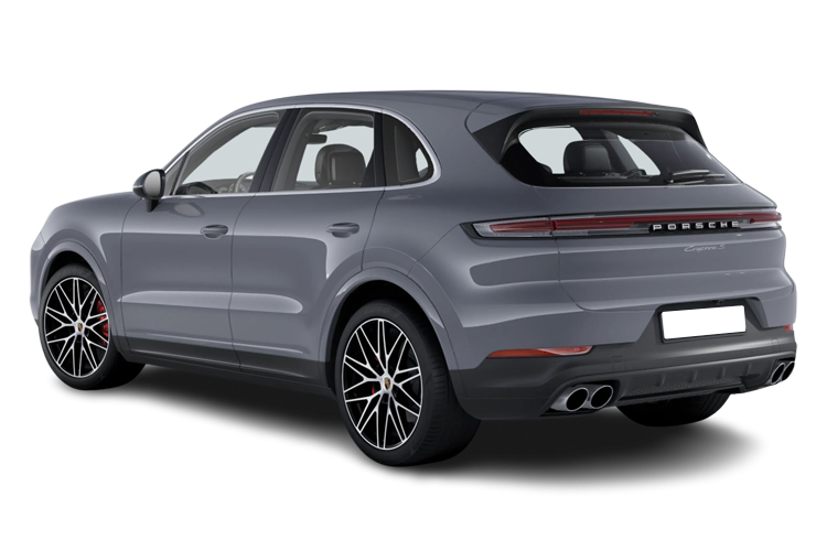 Cayenne Back_view Image