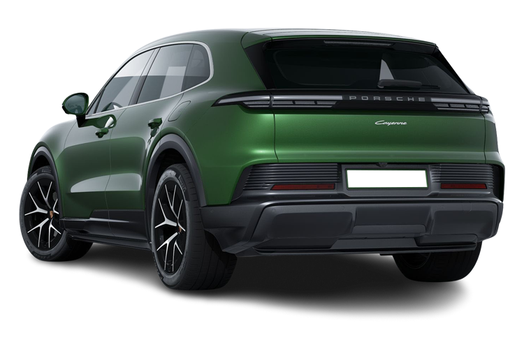 Cayenne Electric Back_view Image