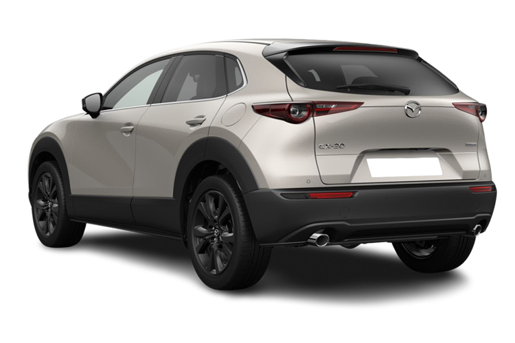 CX-30 Back_view Image