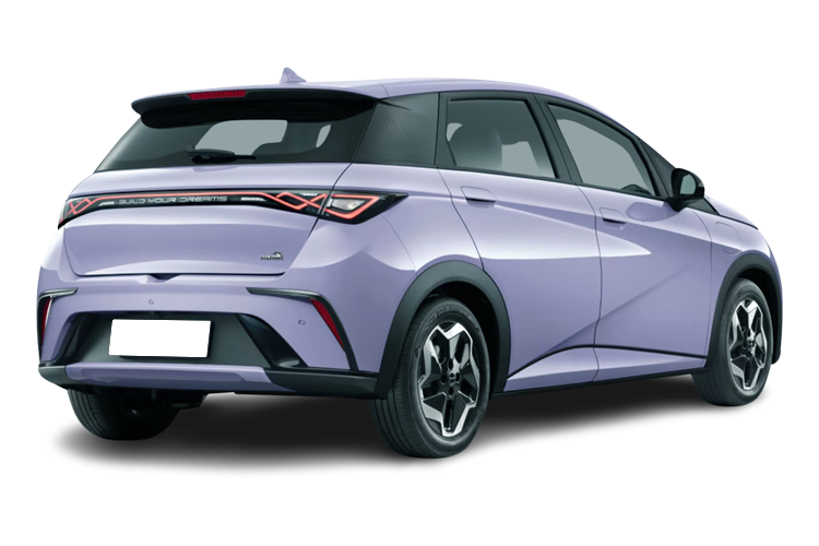 Dolphin Back_view Image