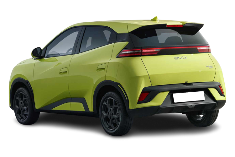 Dolphin Surf Back_view Image