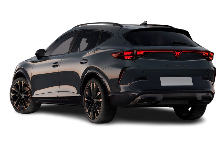 Formentor Back_view Image