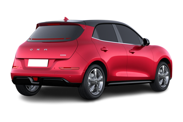 Funky Cat Back_view Image