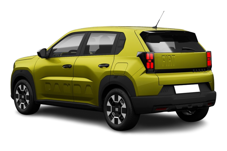 Grande Panda Back_view Image