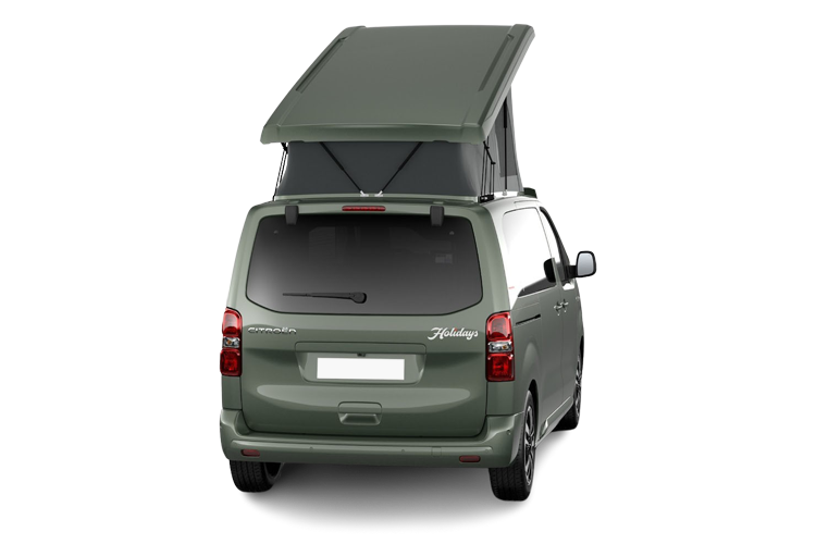 Holidays Back_view Image