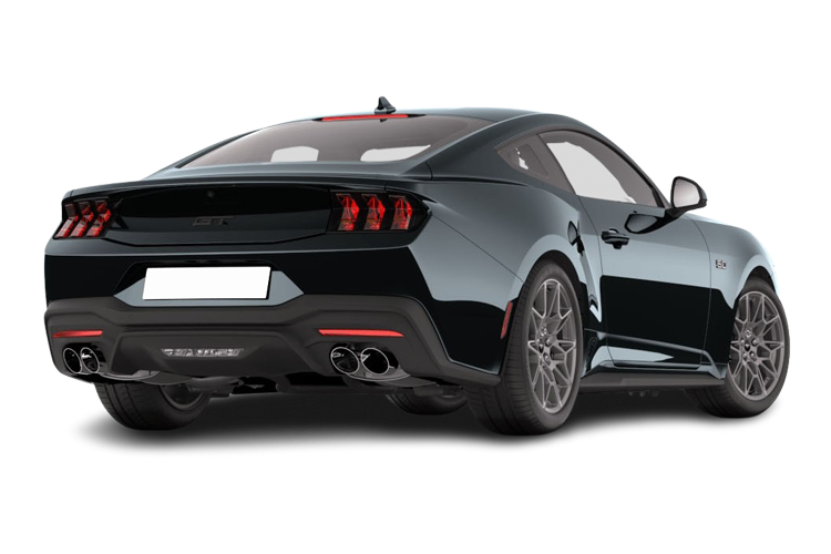 Mustang Back_view Image