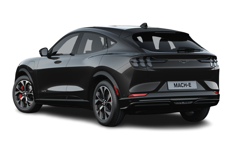 Mustang Back_view Image