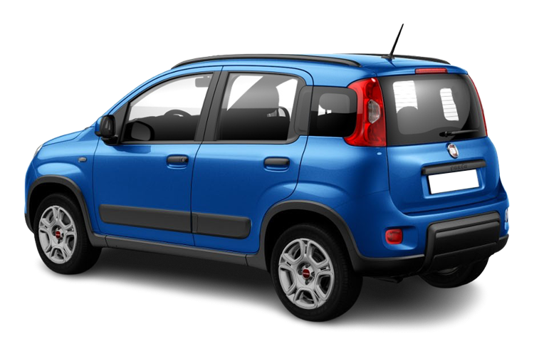 Panda Back_view Image