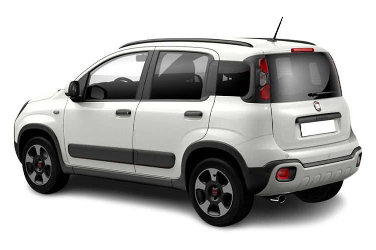 Panda Cross Back_view Image