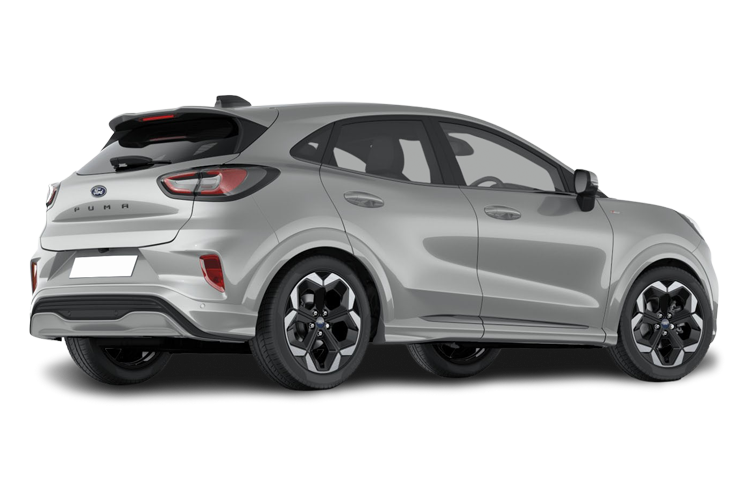 Puma Back_view Image