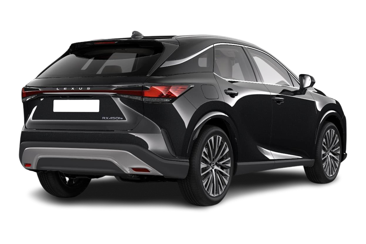 RX 450h+ Estate Back_view Image