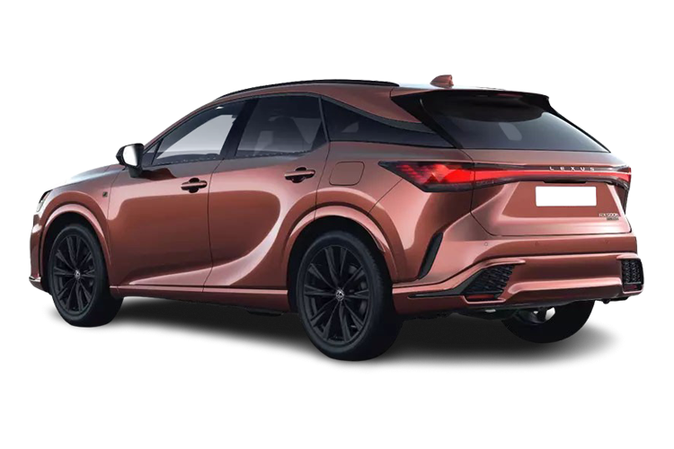 RX 500h Estate Back_view Image