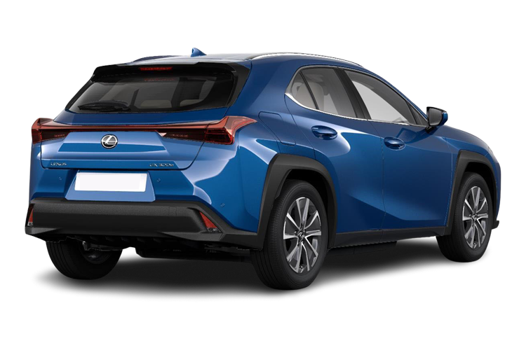 UX 300e Back_view Image