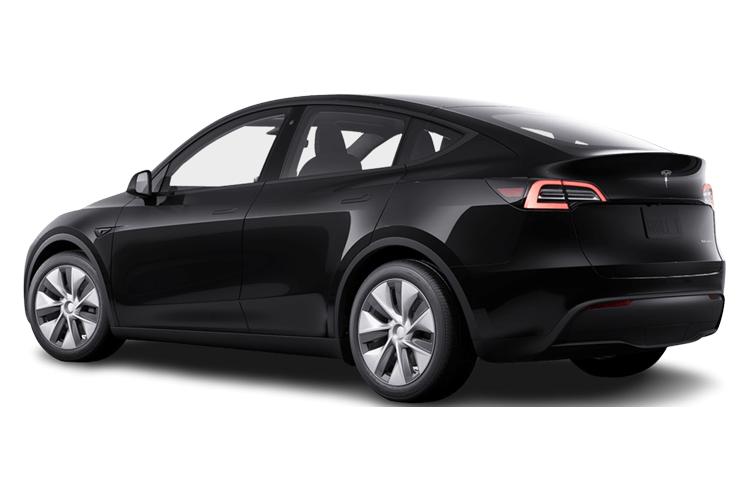 Model Y Back_view Image