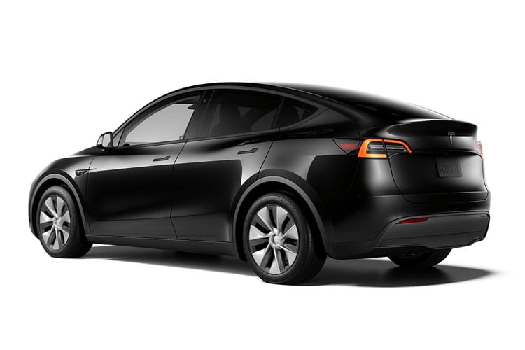 Model Y Back_view Image