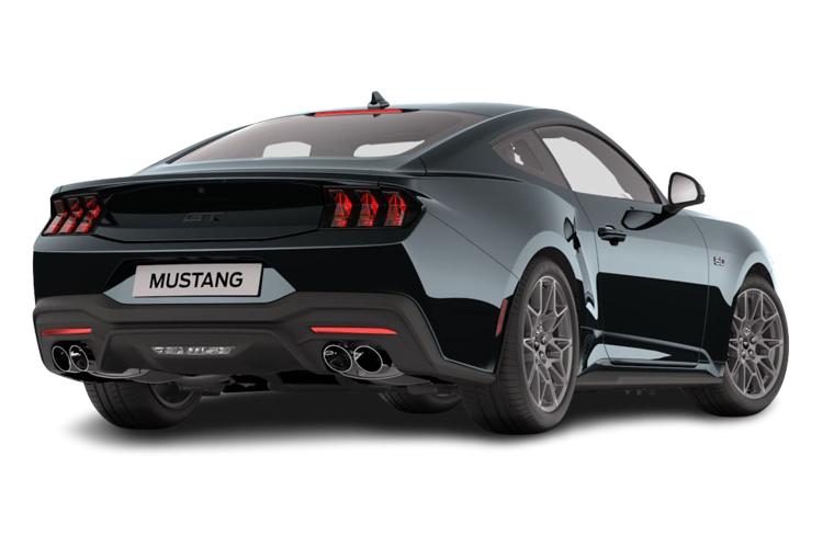 Mustang Back_view Image