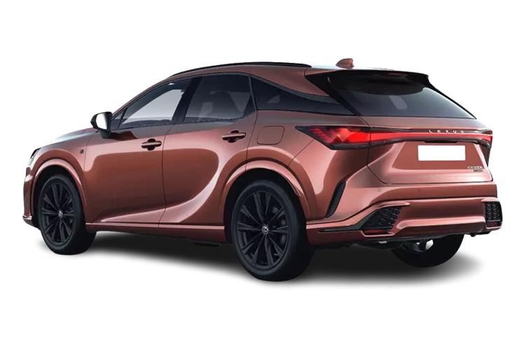 RX 500h Estate Back_view Image