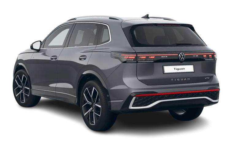 Tiguan Back_view Image