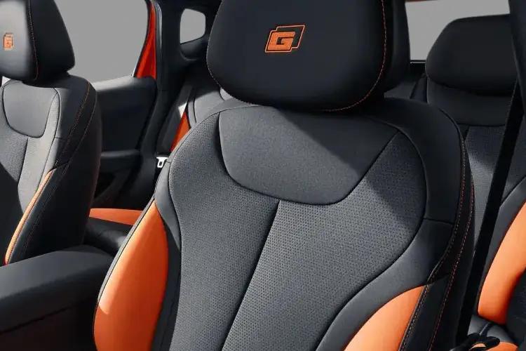 Dolphin G Detail_view Image
