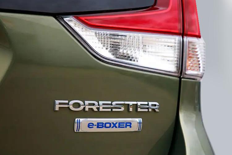 Forester Detail_view Image