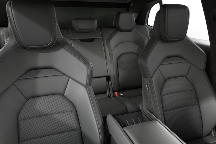 Cayenne Electric Detail_view Image