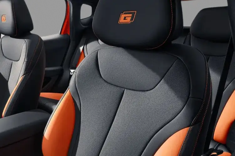 Dolphin G Detail_view Image