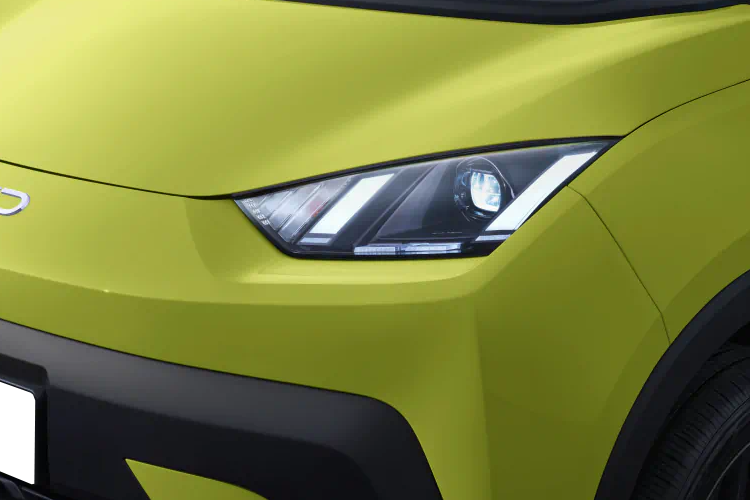 Dolphin Surf Detail_view Image