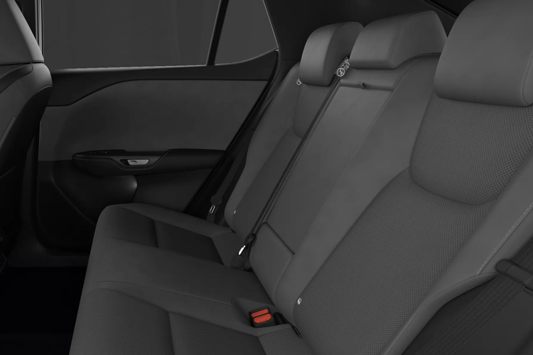 RZ 500e Suv Detail_view Image