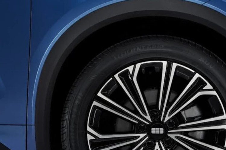 Starray EM-i Suv Detail_view Image