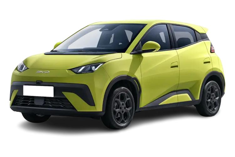 Dolphin Surf Front_view Image