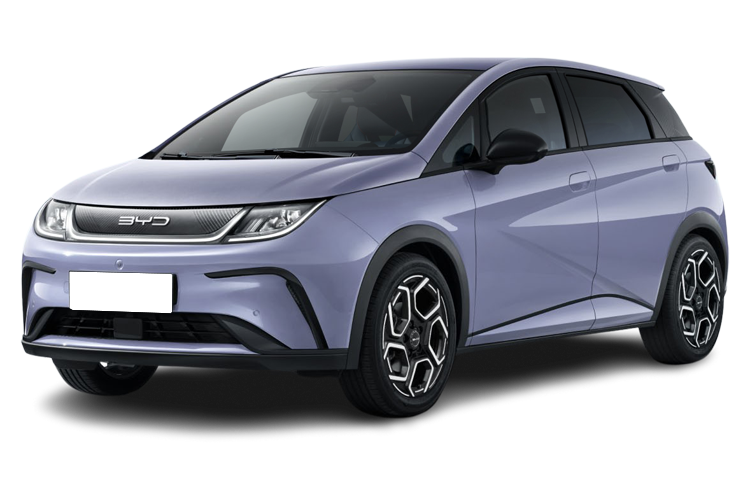 Dolphin Front_view Image