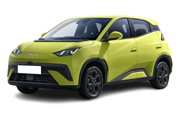 Dolphin Surf Front_view Image