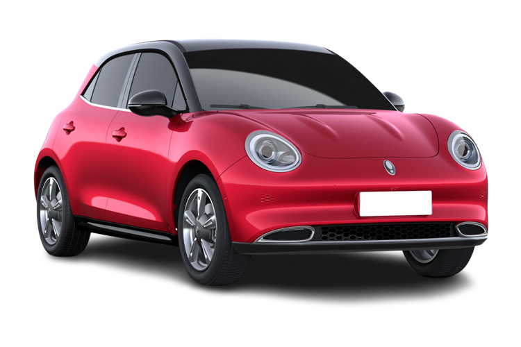 Funky Cat Front_view Image