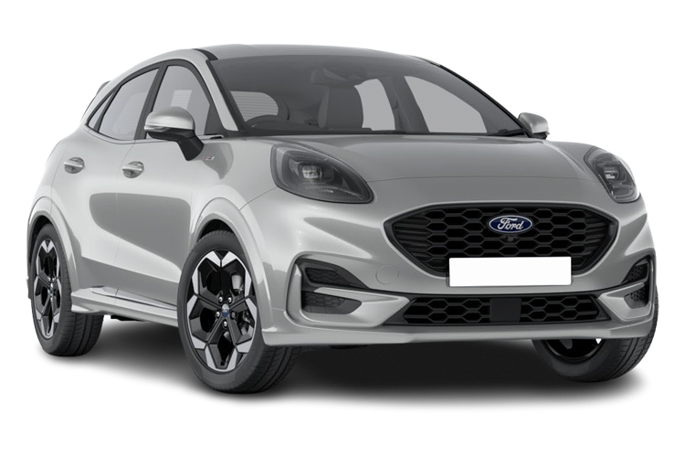 Puma Front_view Image