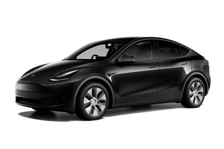 Model Y Front_view Image