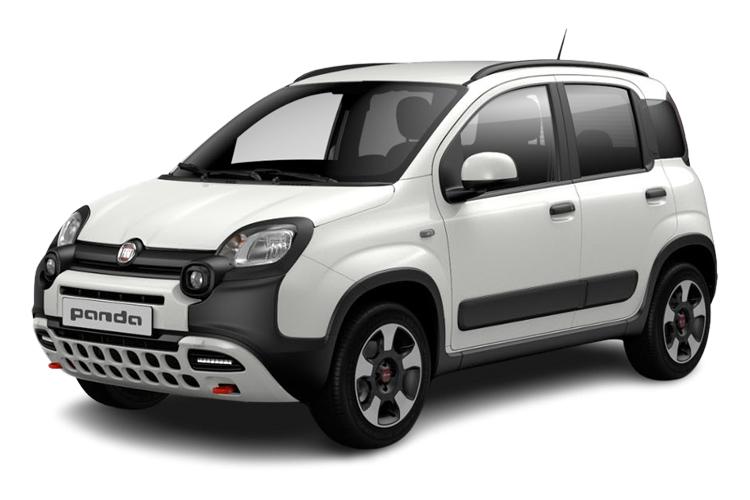 Panda Cross Front_view Image