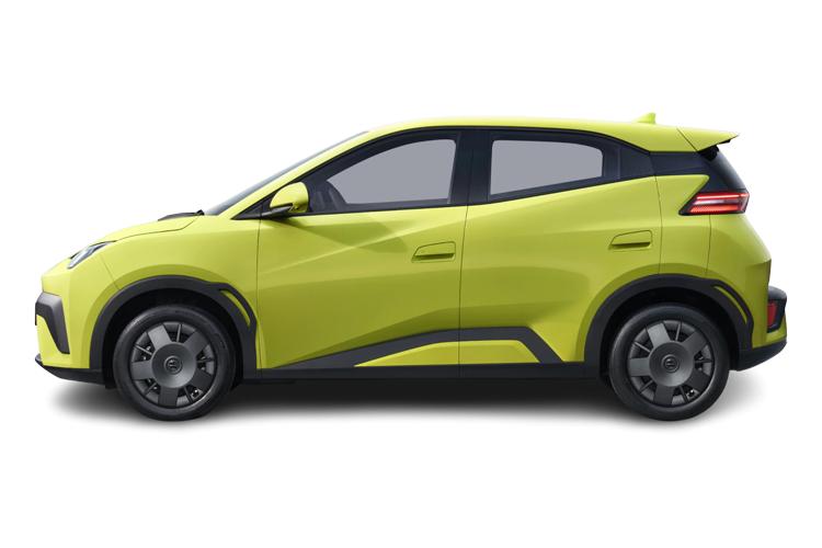 Dolphin Surf Side_view Image