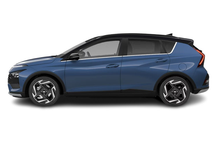 Bayon Side_view Image