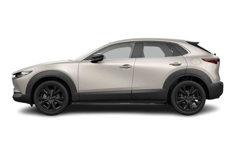 CX-30 Side_view Image