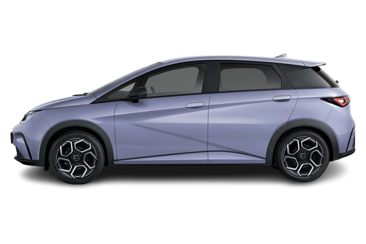 Dolphin Side_view Image