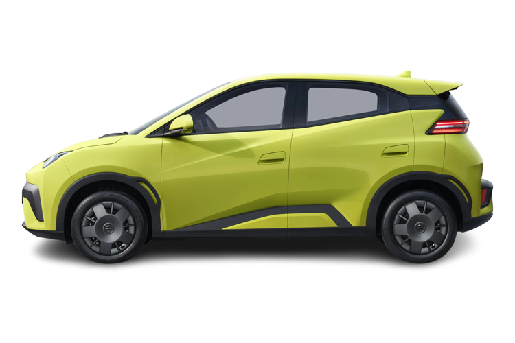 Dolphin Surf Side_view Image