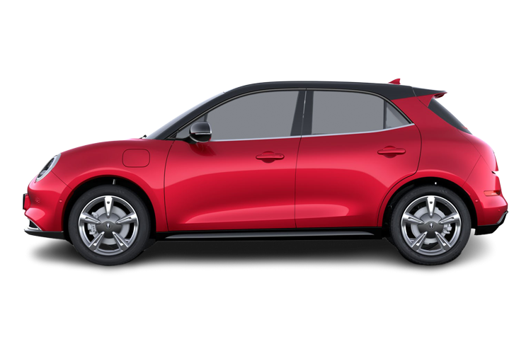 Funky Cat Side_view Image